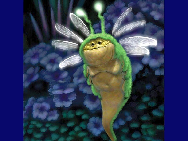 green alien with wings
