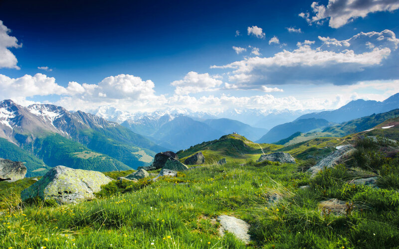 Green Alpine Meadow — Blue