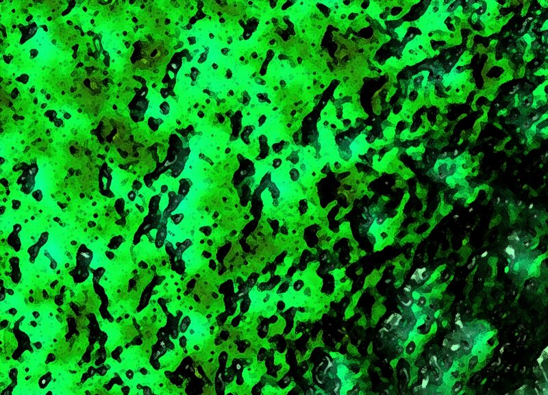 Green and Black Abstract Pattern — Chaotic