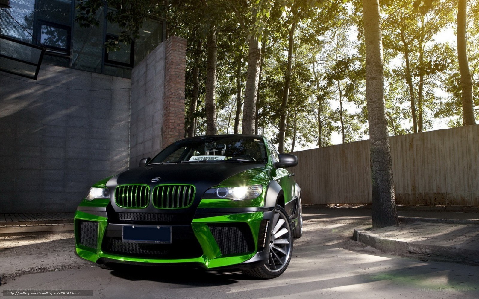 green and black BMW SUV