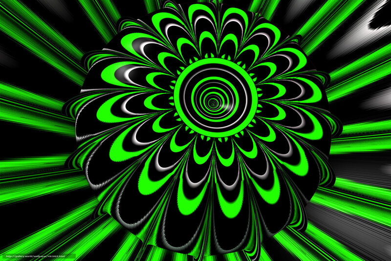 Green and Black Fractal Flower