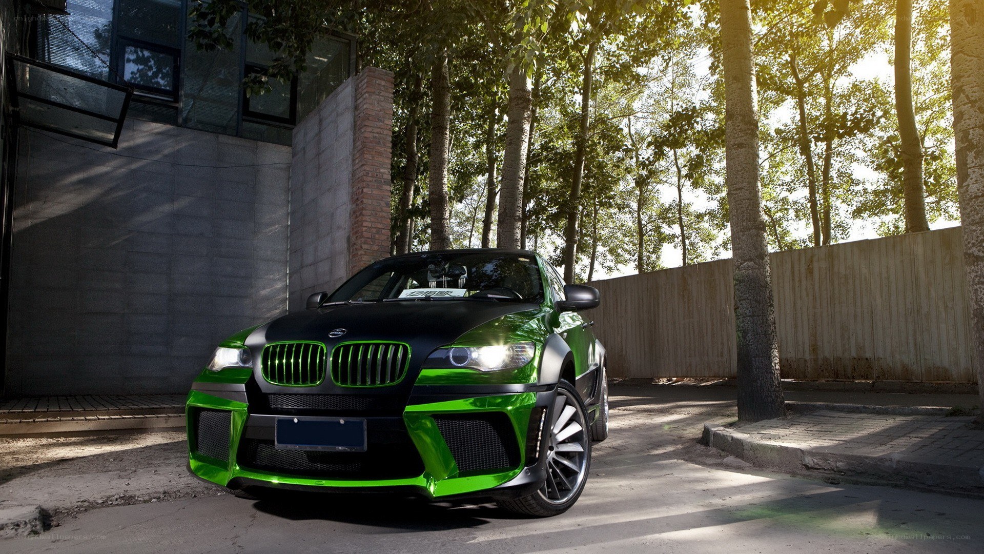 green and black modified car