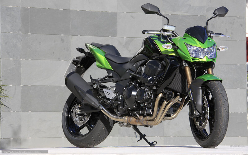 Green and Black Motorcycle — Neutral, Afternoon