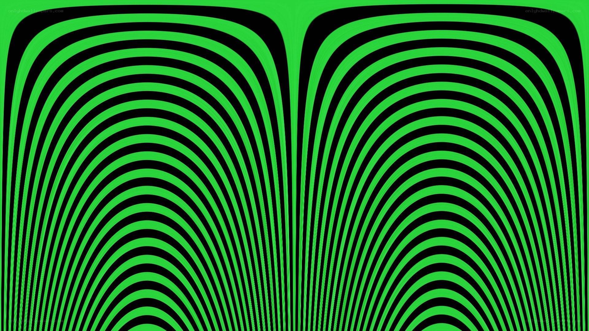 green and black optical illusion