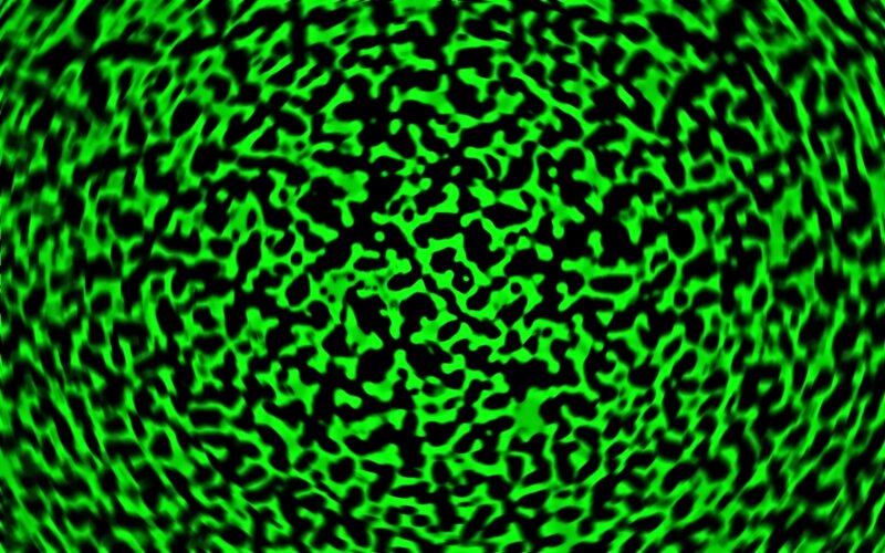 Green and Black Pattern — Hypnotic