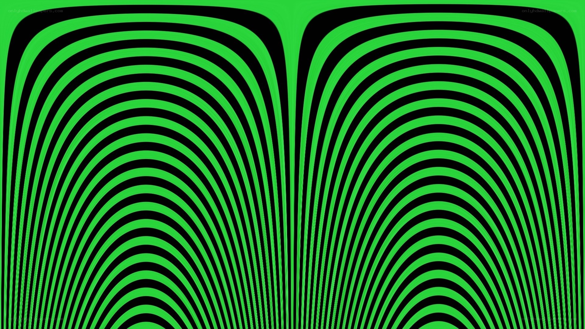green and black wavy lines