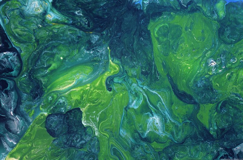 Green and Blue Swirls — Dynamic, Abstract, Patterns