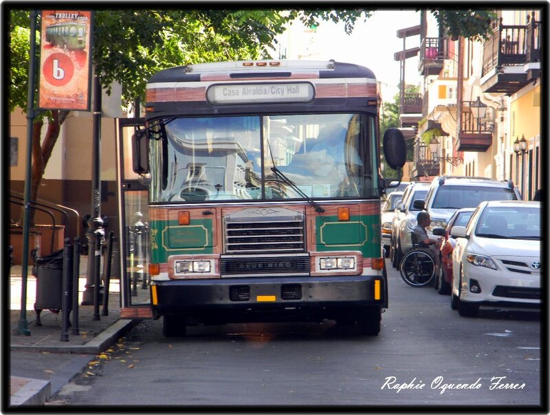 Green and Brown Bus
