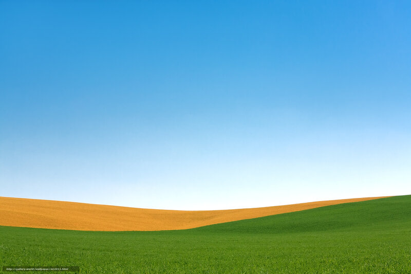 Green and golden fields under blue sky