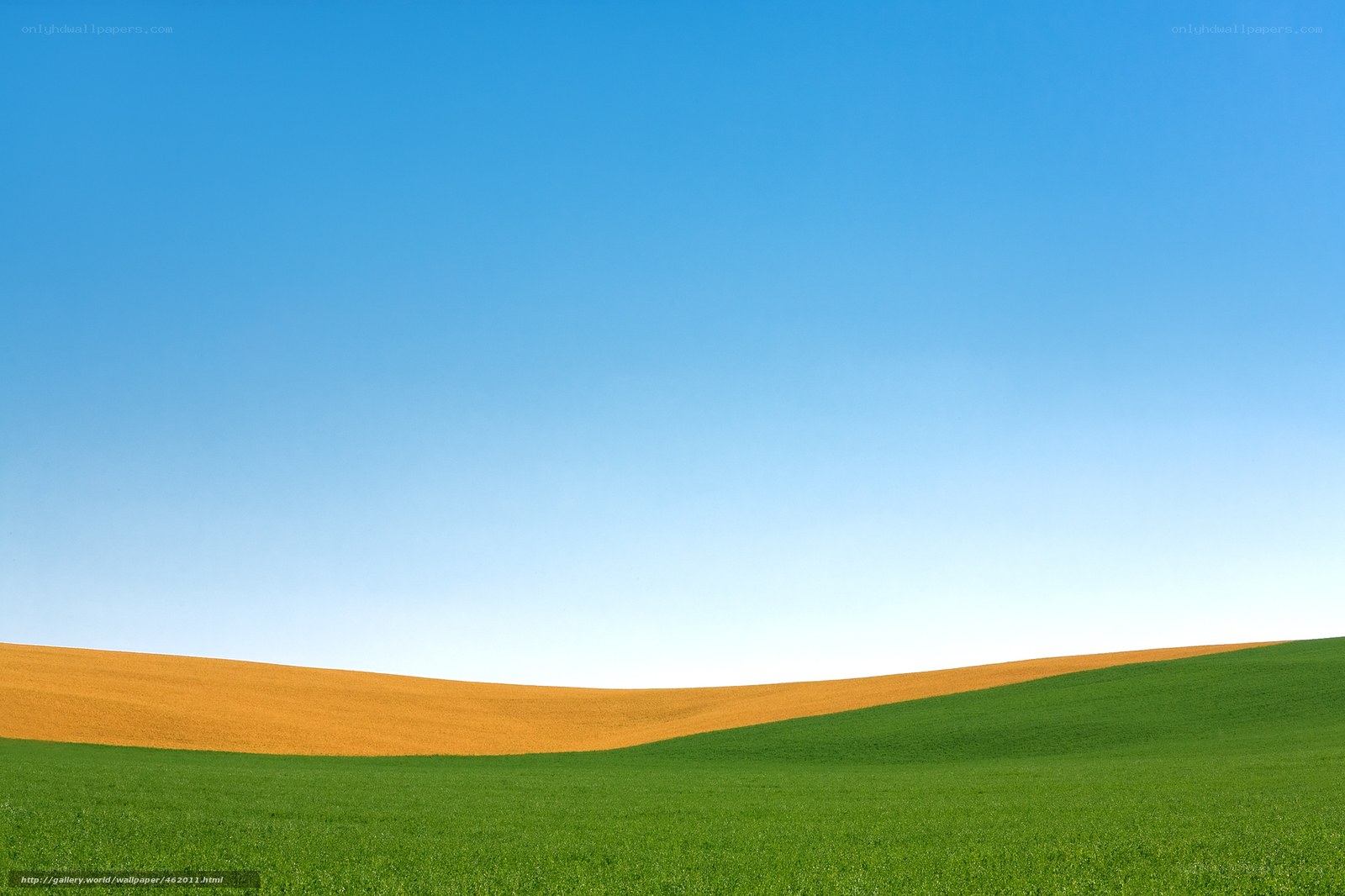 Green and golden fields under blue sky