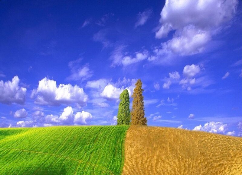 Green and golden hills under blue sky