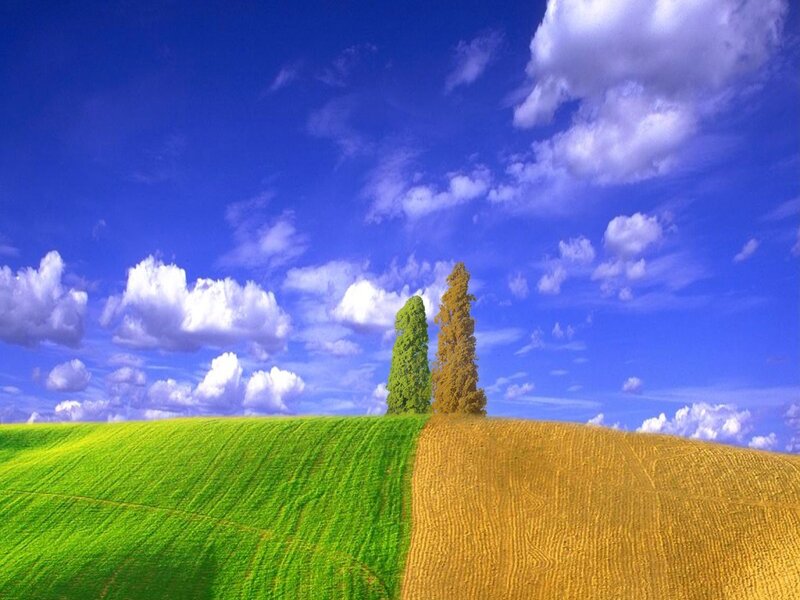 Green and golden hills under blue sky