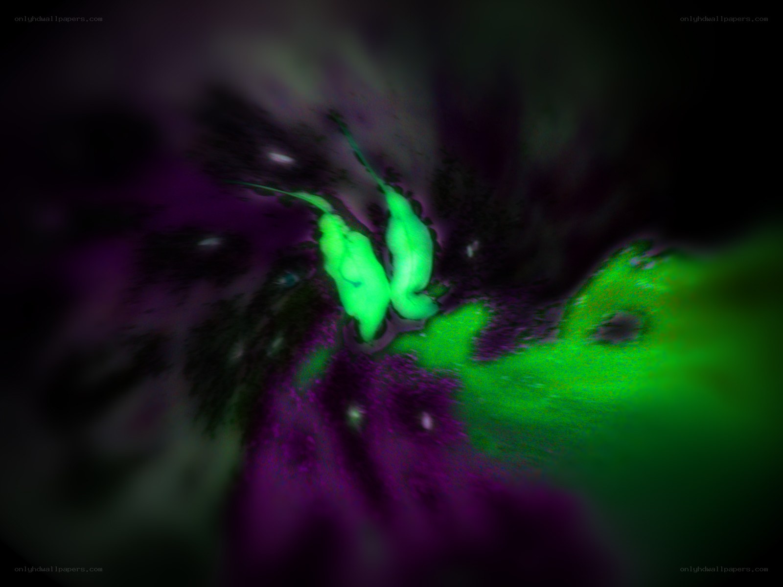 green and purple abstract swirl