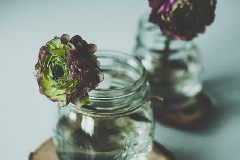 Green and Purple Flower — Calm