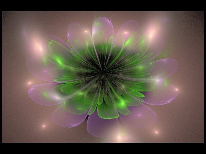 Green and Purple Flower