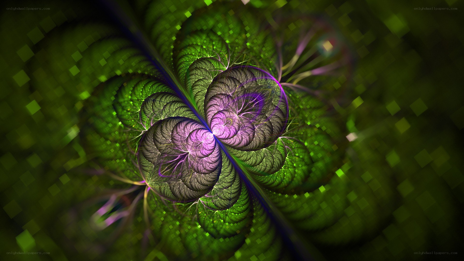 green and purple fractal pattern