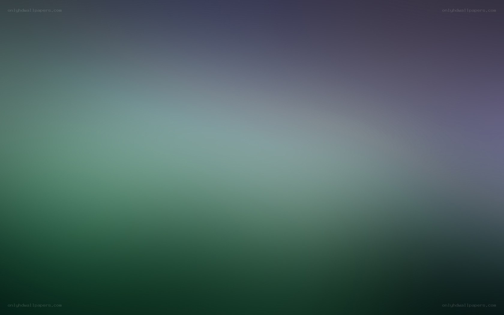 green and purple gradient