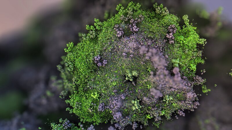Green and Purple Moss Cluster