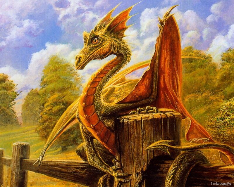 Green and Red Dragon
