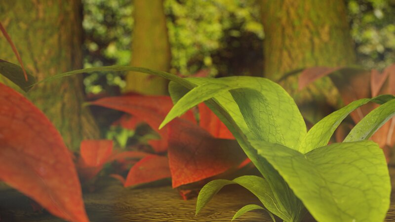 Green and Red Leaves — Serene