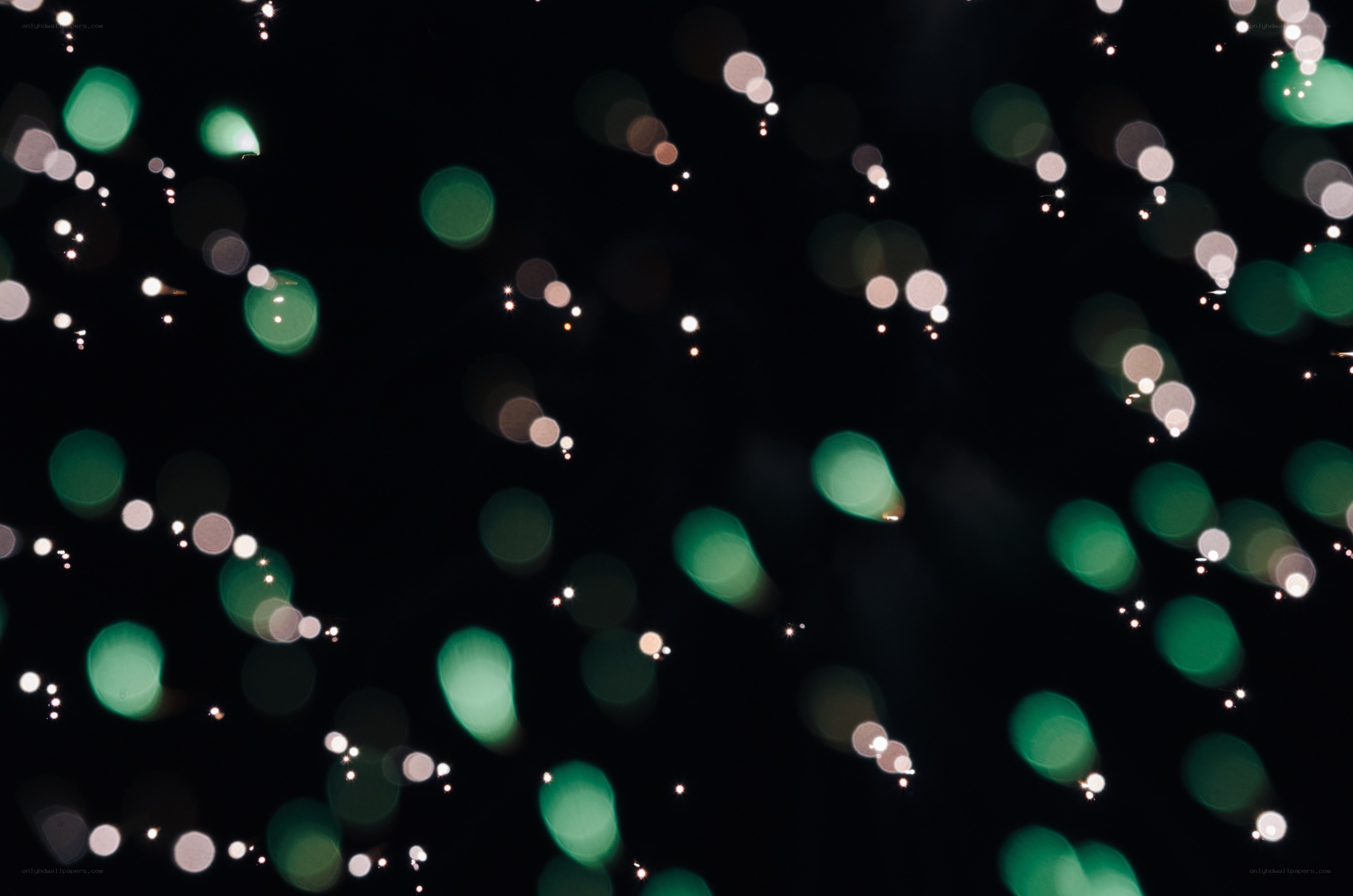 green and white bokeh lights