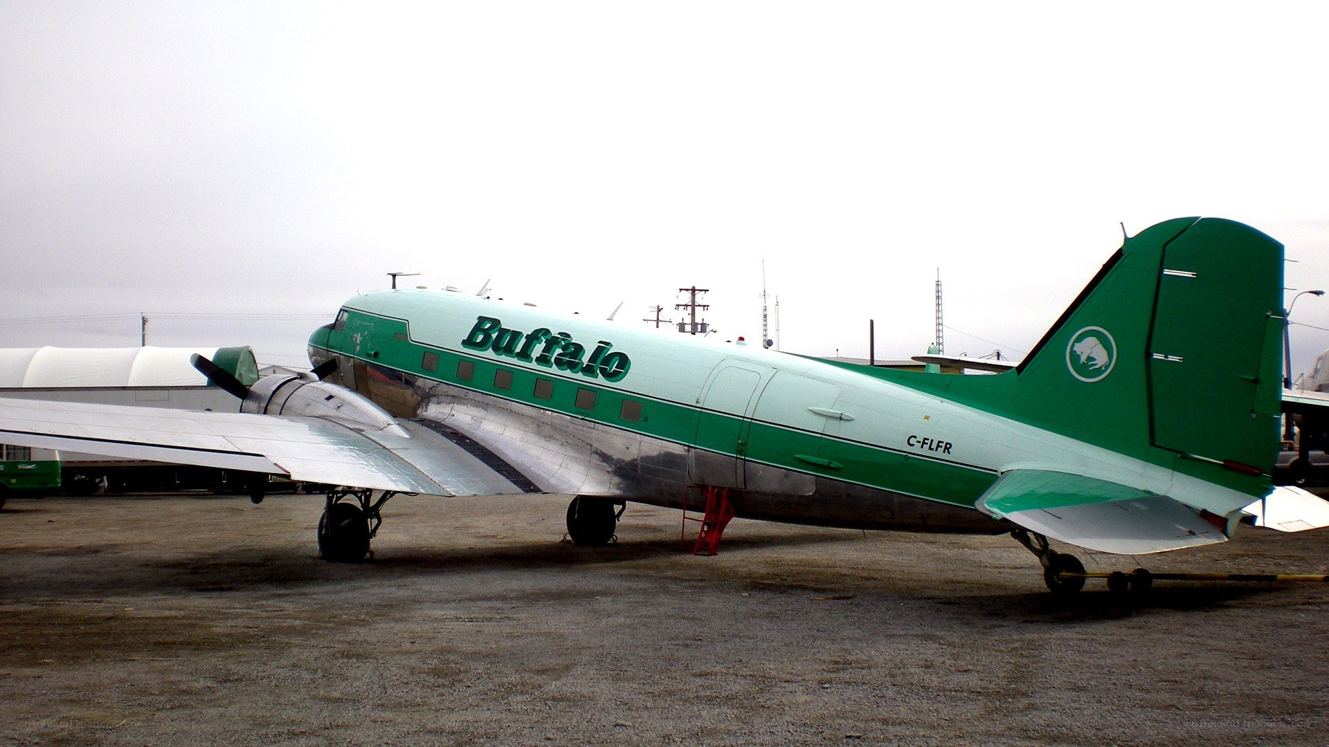 Green and white Buffalo aircraft