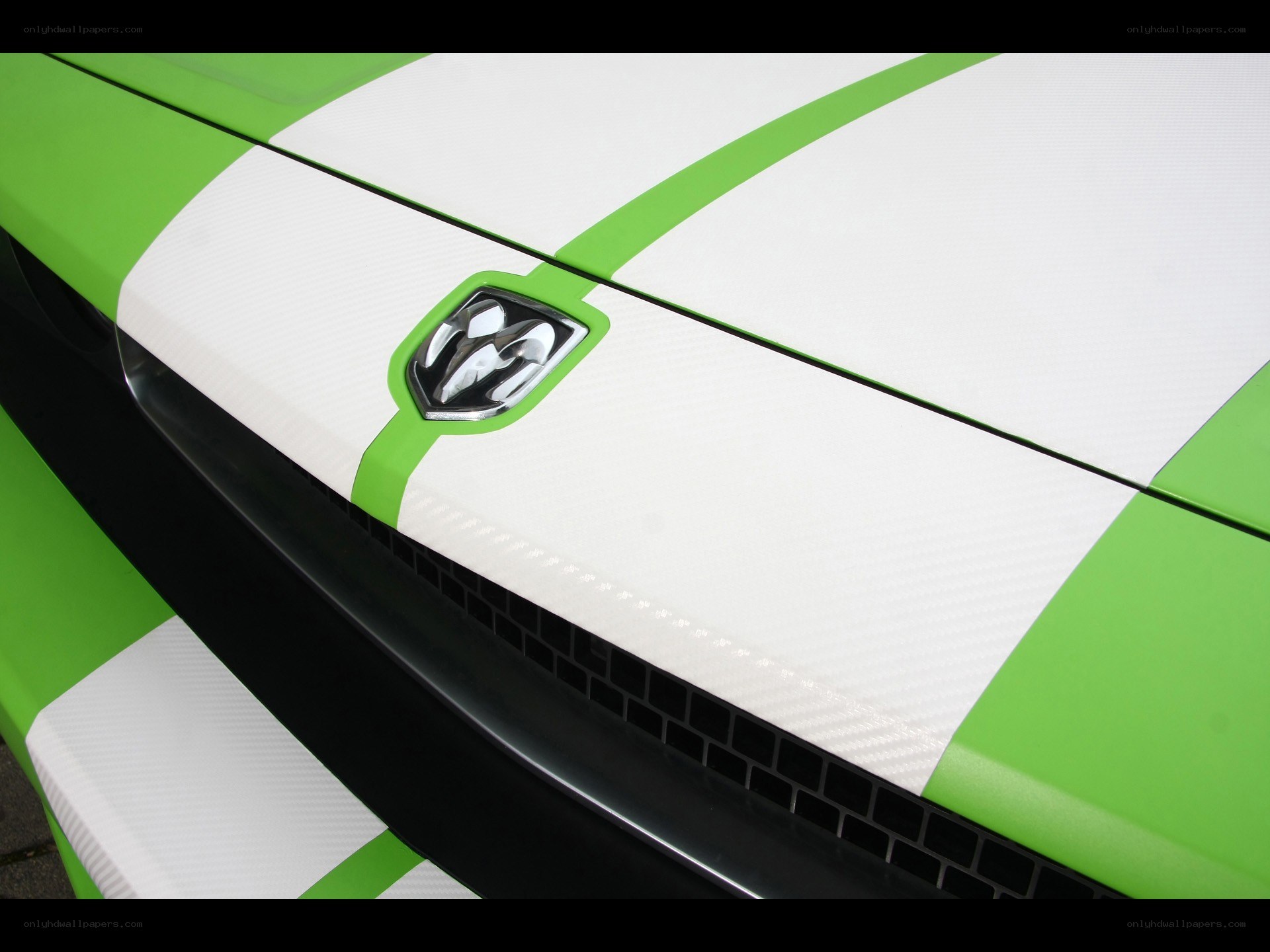 green and white car hood
