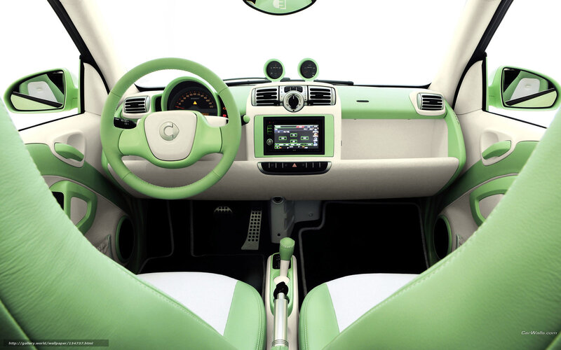 green and white car interior
