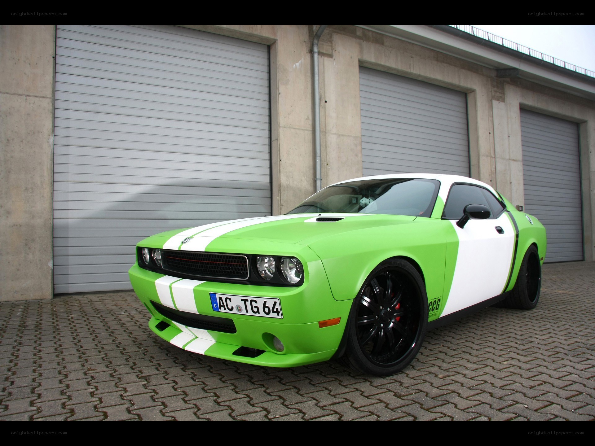 green and white dodge challenger