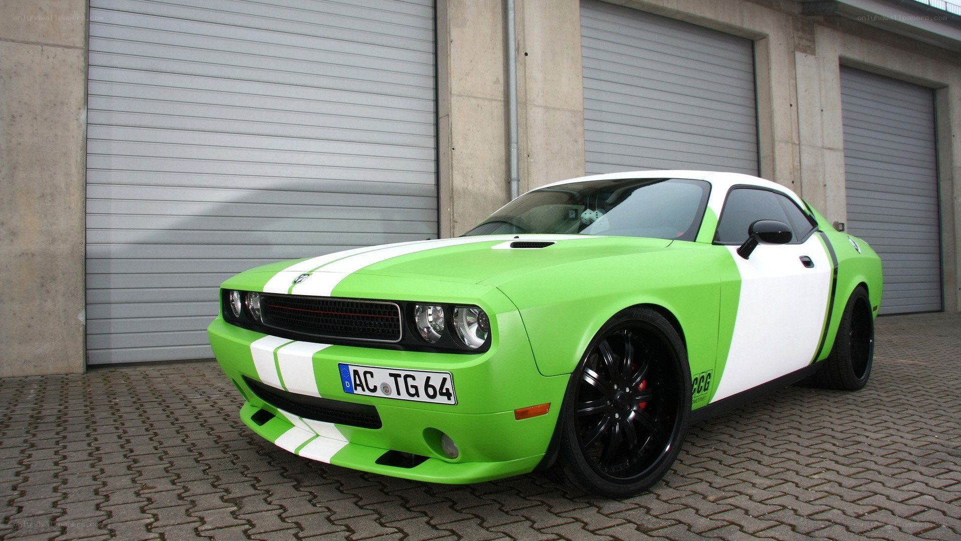 green and white dodge challenger