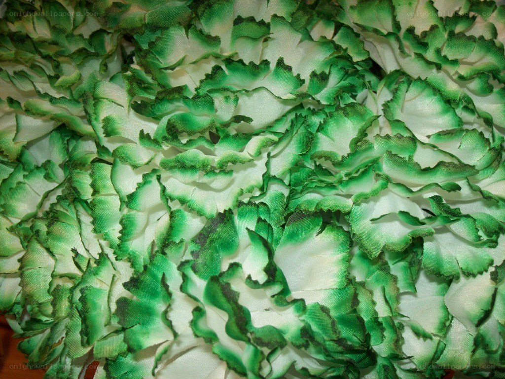 green and white fabric texture