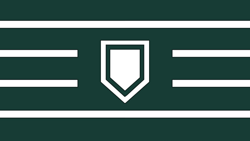 green and white flag with shield