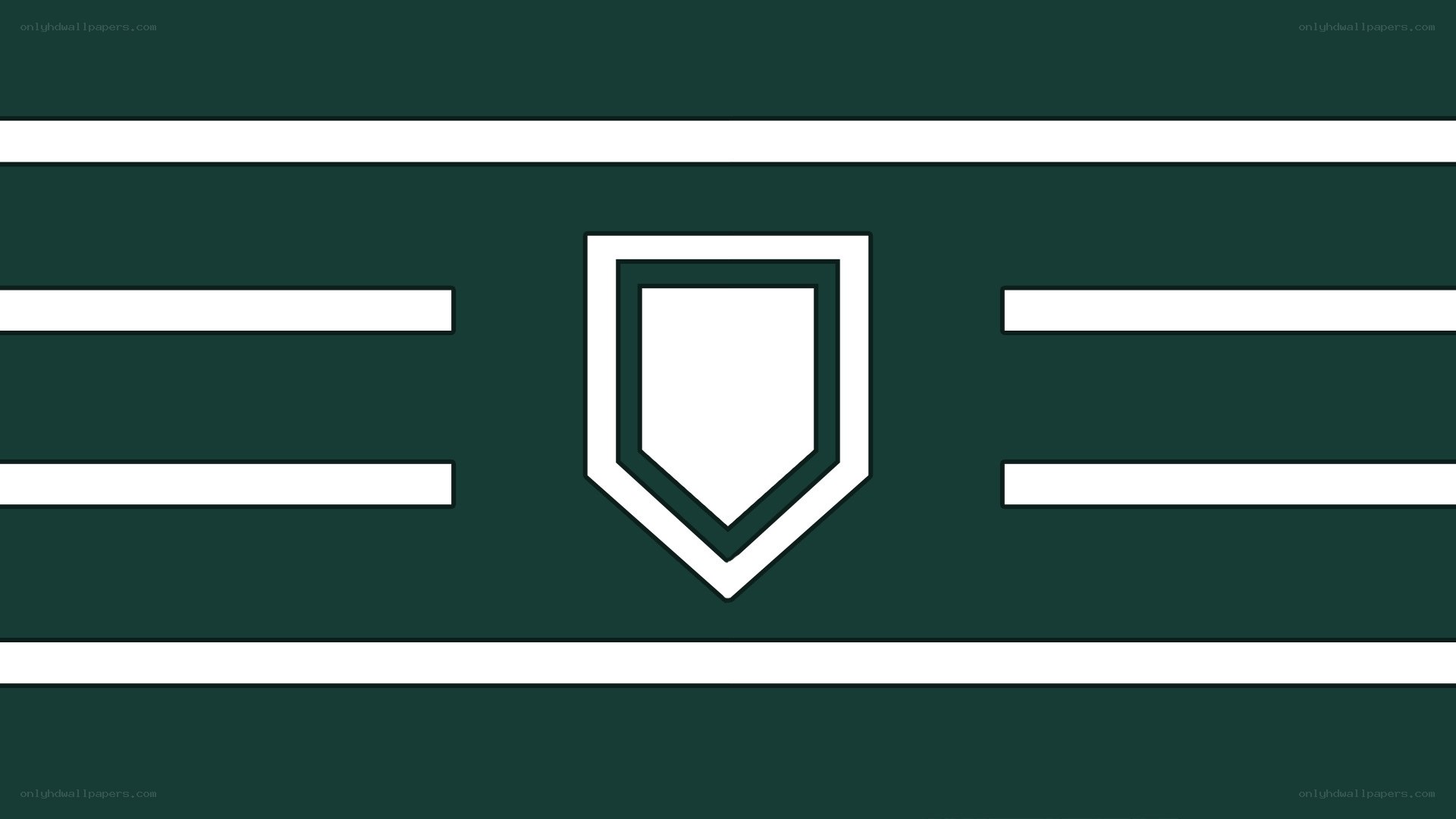 green and white flag with shield