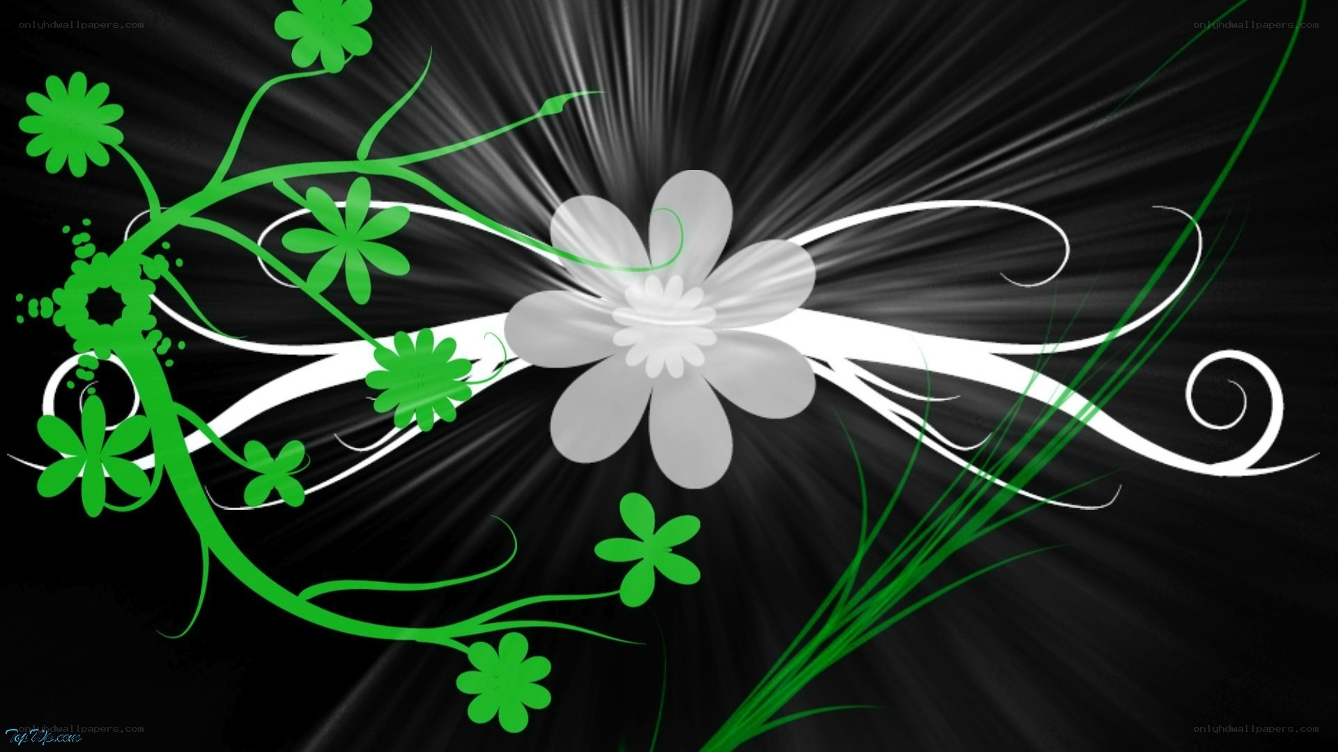 green and white floral design