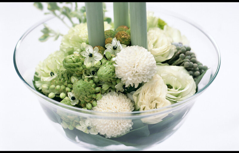 Green and White Flowers