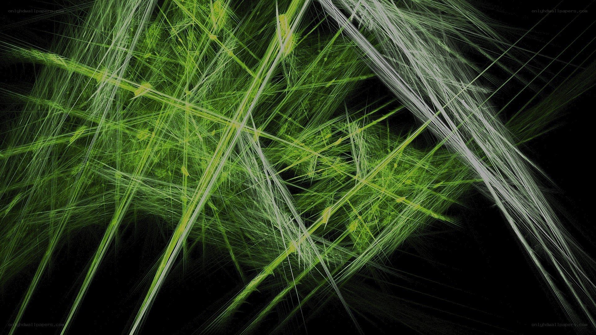 green and white fractal lines