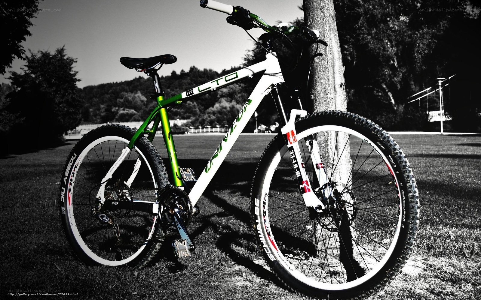 green and white mountain bike