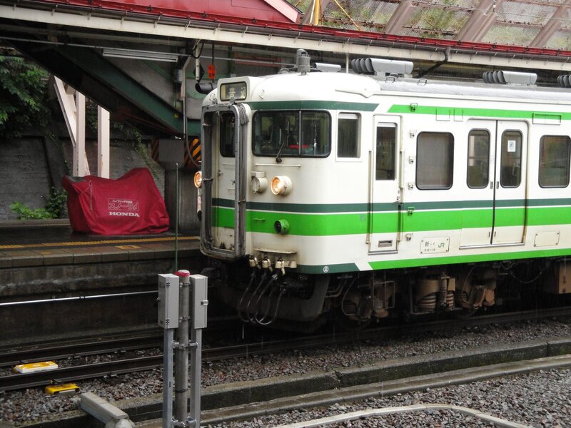 Green and white train at station