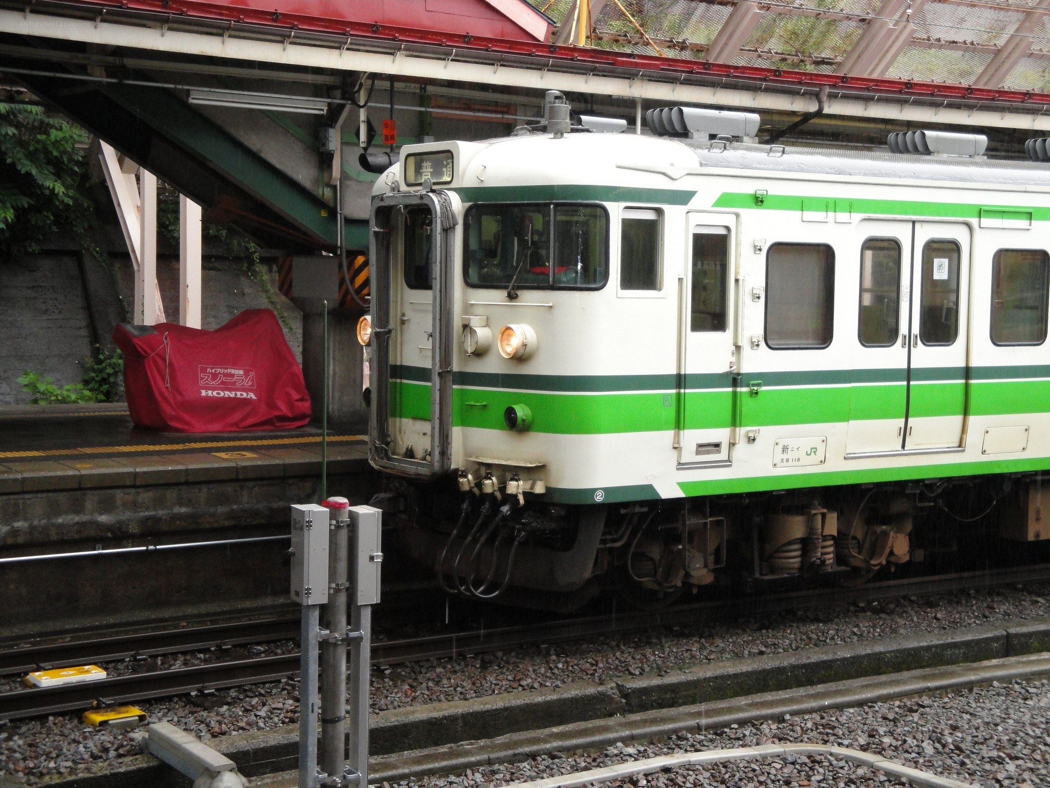 Green and white train at station