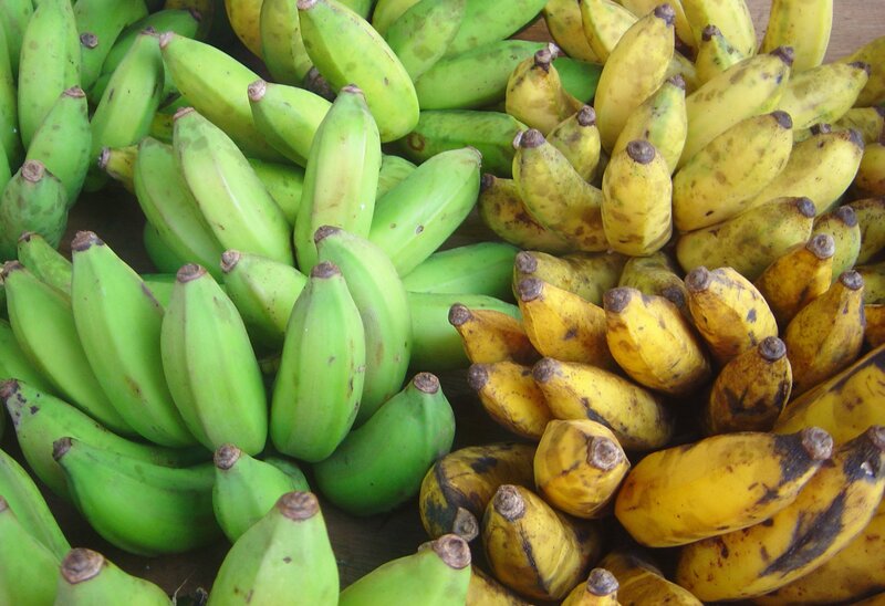green and yellow bananas