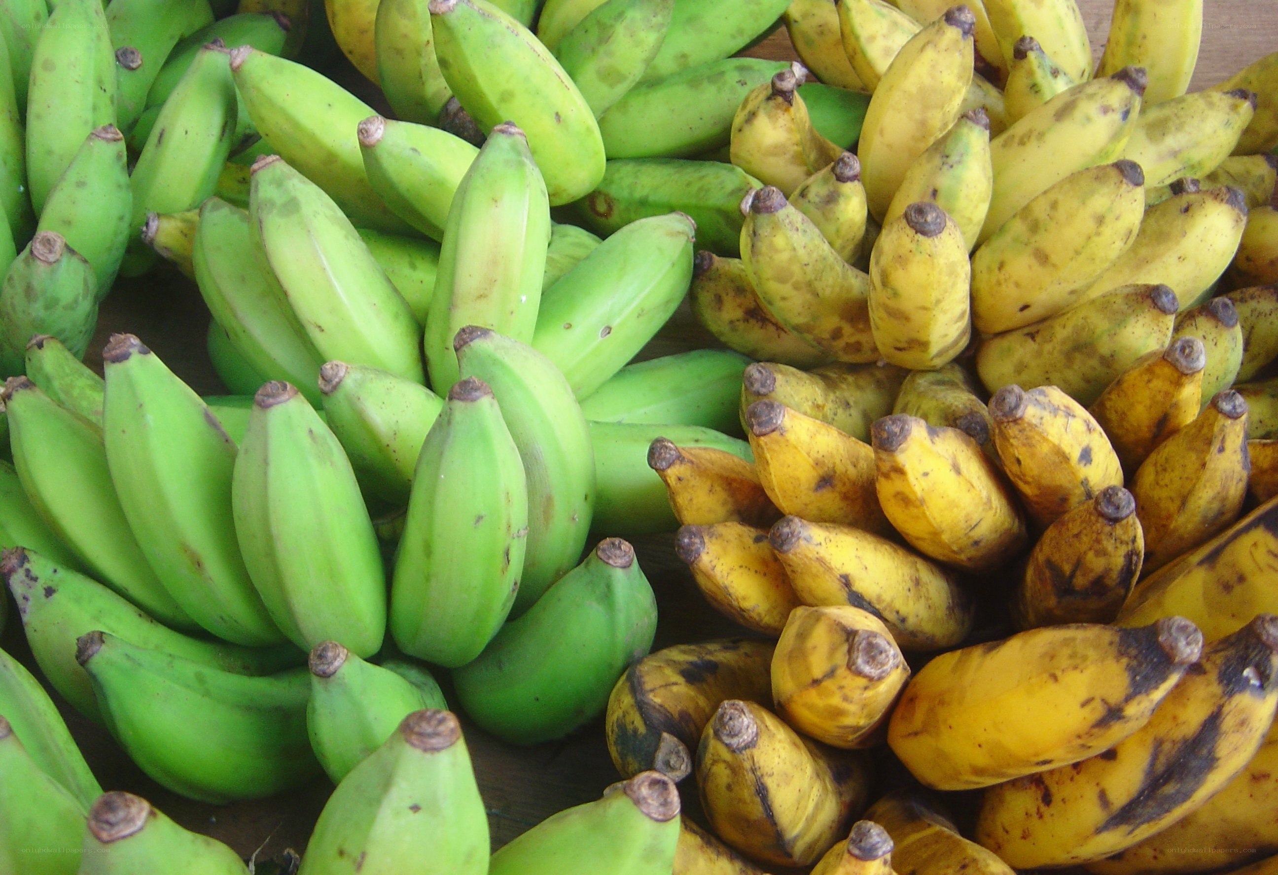 green and yellow bananas