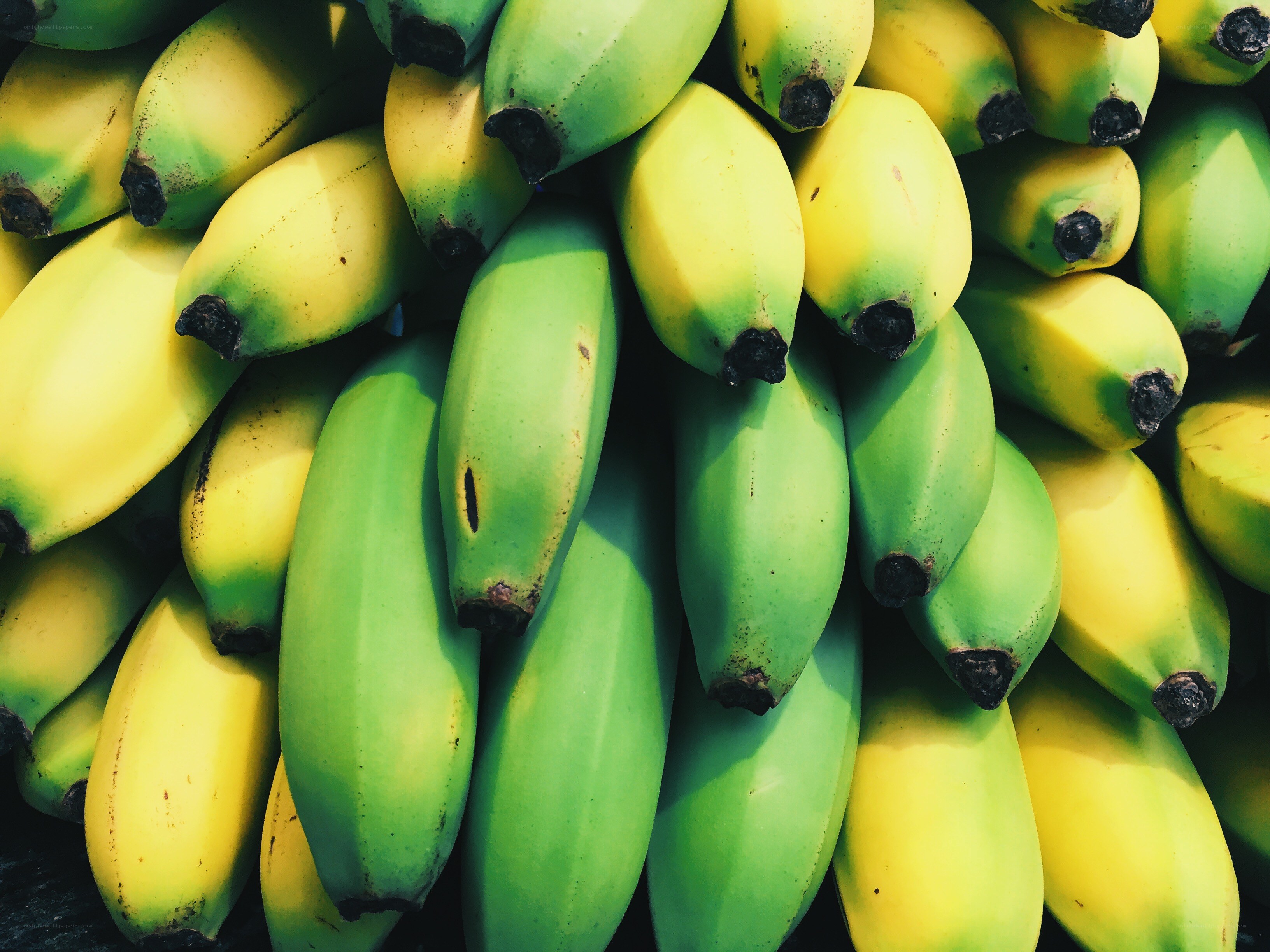 green and yellow bananas