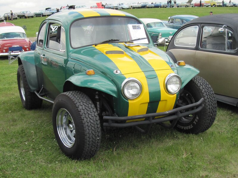 Green and Yellow Beetle