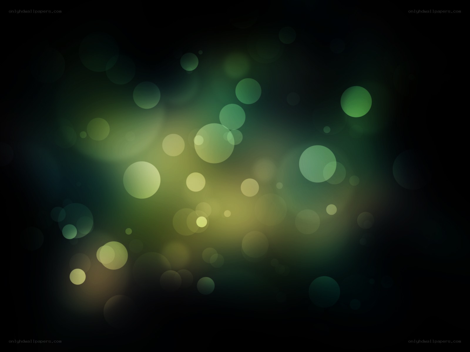 green and yellow bokeh lights