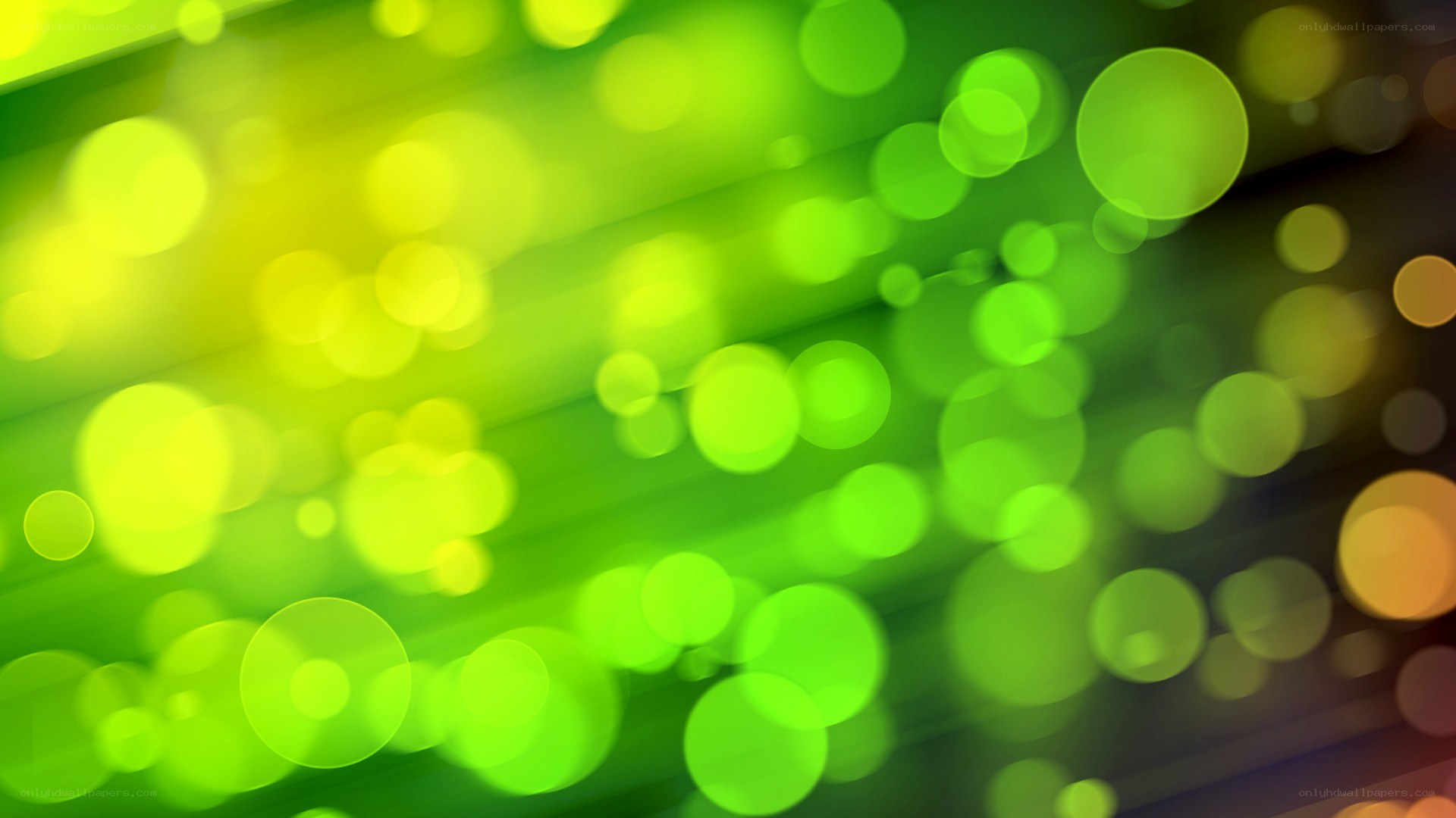 green and yellow bokeh lights