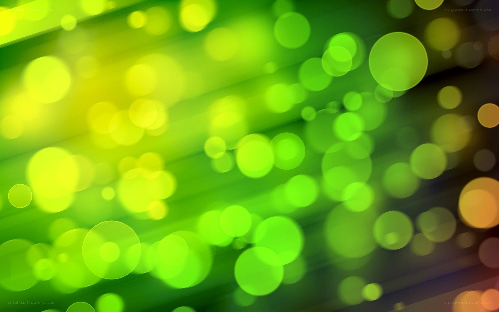 green and yellow bokeh lights