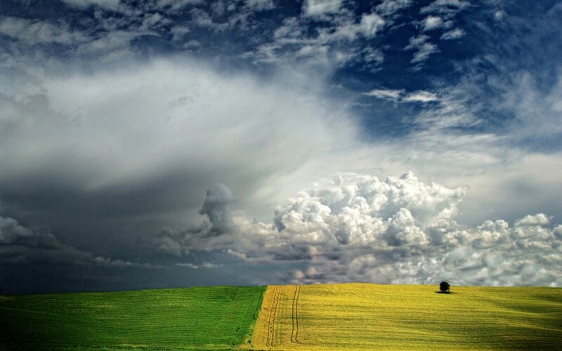Green and Yellow Fields — Dramatic, Afternoon, Photograph