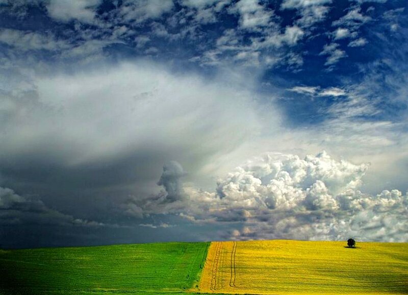 Green and Yellow Fields — Dramatic