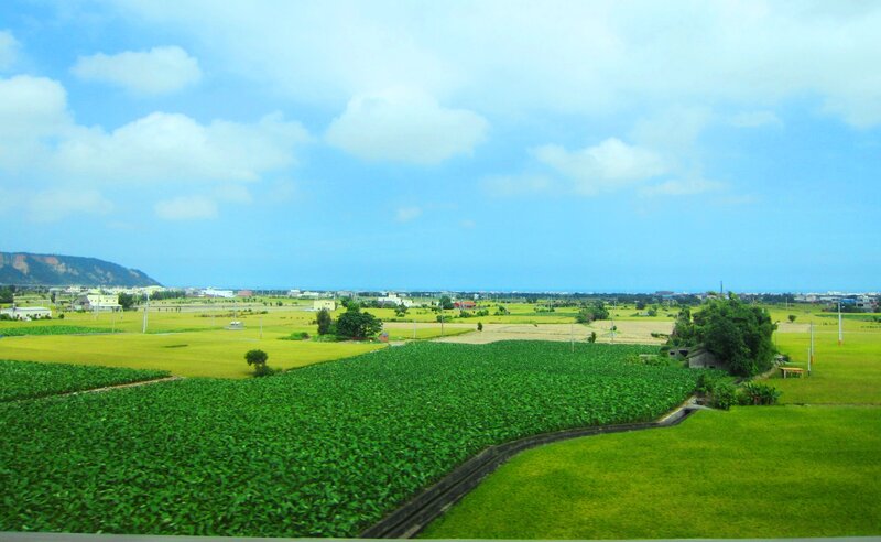 Green and Yellow Fields — Serene