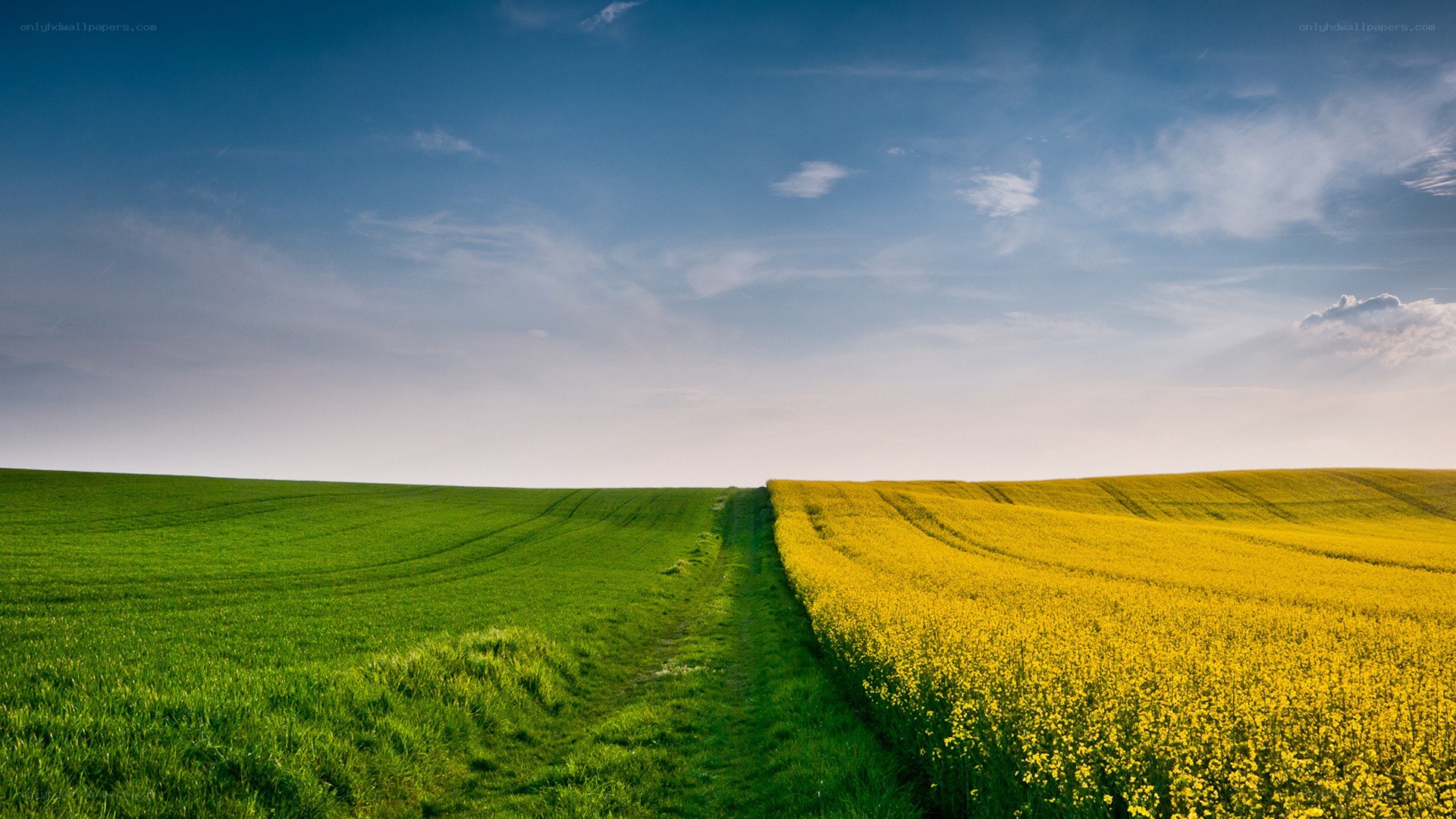 Green and yellow fields under blue sky